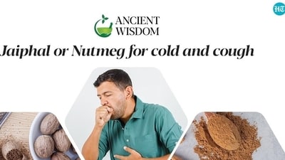 Nutmeg can be used to flavour both sweet and savoury dishes Nutmeg can be used to flavour both sweet and savoury dishes
