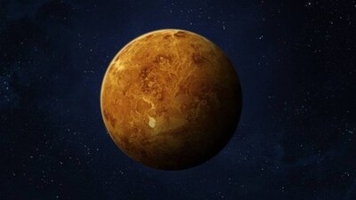 Venus Venus