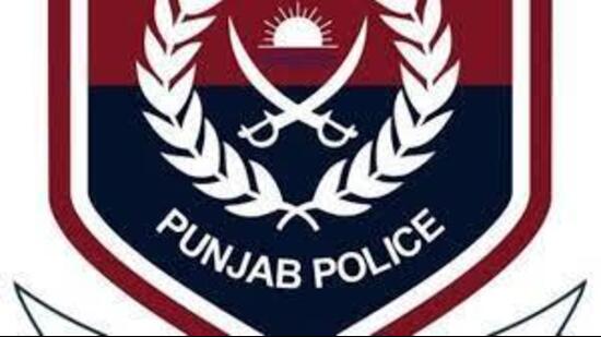 Deputy commissioner of police Jagmohan Singh said they have initiated an inquiry into the matter and sent the video to the cyber cell to gather information about when and where the video was shot.