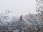 Firefighter sprays water in attempt to extinguish wildfires on a peatland forest in Ogan Komering Ilir regency, South Sumatra province, Indonesia.