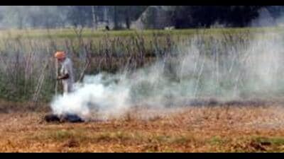 21 Kurukshetra farmers challaned for burning stubble