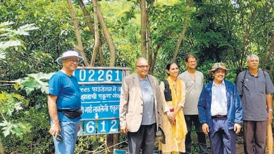 IIT-B alumni name trees after favourite profs in reforestation project IIT-B alumni name trees after favourite profs in reforestation project