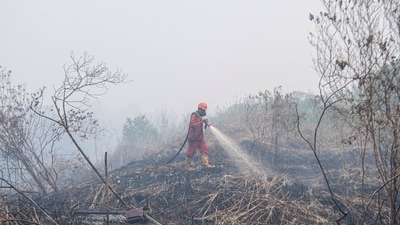 Firefighter sprays water in attempt to extinguish wildfires on a peatland forest in Ogan Komering Ilir regency, South Sumatra province, Indonesia. (Reuters)