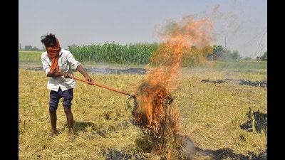 Farmers burn stubble after harvest a paddy crop in field. Amritsar, on Saturday. (Sameer Sehgal/HT) Farmers burn stubble after harvest a paddy crop in field. Amritsar, on Saturday. (Sameer Sehgal/HT)