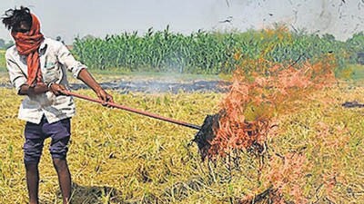 Farmers burn stubble after harvest in Amritsar on Saturday. (HT) Farmers burn stubble after harvest in Amritsar on Saturday. (HT)