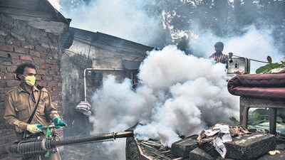 Mumbai, India - September 24, 2016: A BMC staffer conducts a fumigation near a well in a Mumbai locality. The BMC staff identify, treat and eliminate breeding of dengue transmitting Aedes mosquitoes which spreads in Mumbai, India, on Friday, September 24, 2016. (Photo by Satish Bate/ Hindustan Times) (Satish Bate/HT PHOTO) Mumbai, India - September 24, 2016: A BMC staffer conducts a fumigation near a well in a Mumbai locality. The BMC staff identify, treat and eliminate breeding of dengue transmitting Aedes mosquitoes which spreads in Mumbai, India, on Friday, September 24, 2016. (Photo by Satish Bate/ Hindustan Times) (Satish Bate/HT PHOTO)