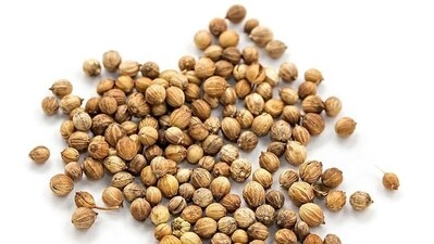 Coriander: The seeds of coriander have a remarkable hypolipidemic action (refers to the ability to lower lipid levels in the bloodstream, particularly cholesterol and triglycerides.) High levels of LDL cholesterol are a significant risk factor for heart disease.&nbsp; (Shutterstock) 