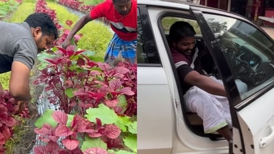 The video capturing the farmer driving Audi to a local market to sell his produce has raked up more than 8.7 million views. (Instagram/@variety_farmer) The video capturing the farmer driving Audi to a local market to sell his produce has raked up more than 8.7 million views. (Instagram/@variety_farmer)