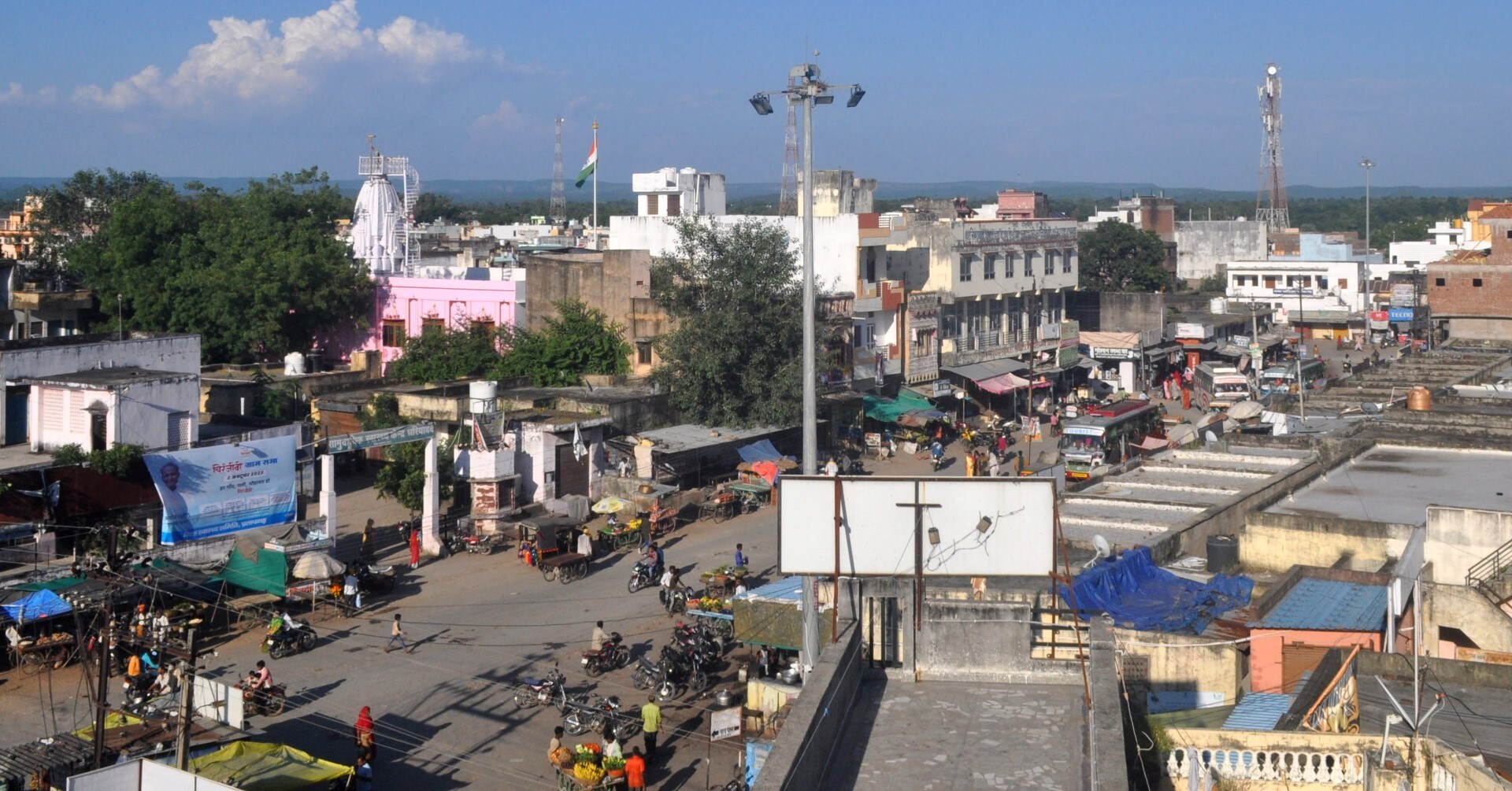 Ibises nesting atop light pole in Dhariawad market. (PHOTO: PRADEEP SHARMA) Ibises nesting atop light pole in Dhariawad market. (PHOTO: PRADEEP SHARMA)