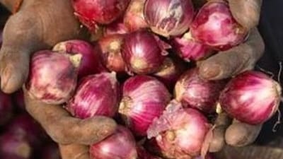 Centre exempts 'Bangalore rose onion' from export duty Centre exempts 'Bangalore rose onion' from export duty