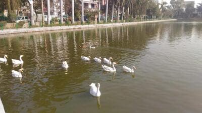 Officials said that groundwater will be utilised to rejuvenate Naini Lake. (HT Photo) Officials said that groundwater will be utilised to rejuvenate Naini Lake. (HT Photo)