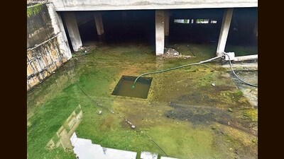 The citizens should take precautions to prevent mosquito breeding in and around their houses. (RAHUL RAUT/ HT PHOTO) The citizens should take precautions to prevent mosquito breeding in and around their houses. (RAHUL RAUT/ HT PHOTO)