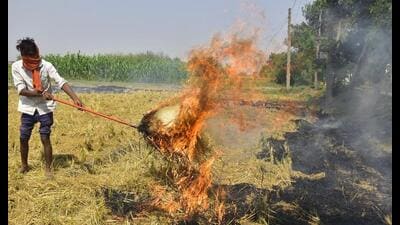 The last five days have seen an upward trend in the incidents of farm fires across Punjab as harvesting of paddy, a major kharif crop, is picking up pace. The last five days have seen an upward trend in the incidents of farm fires across Punjab as harvesting of paddy, a major kharif crop, is picking up pace.