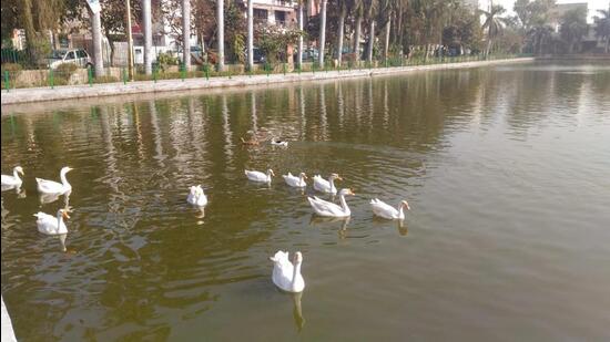Officials said that groundwater will be utilised to rejuvenate Naini Lake. (HT Photo)