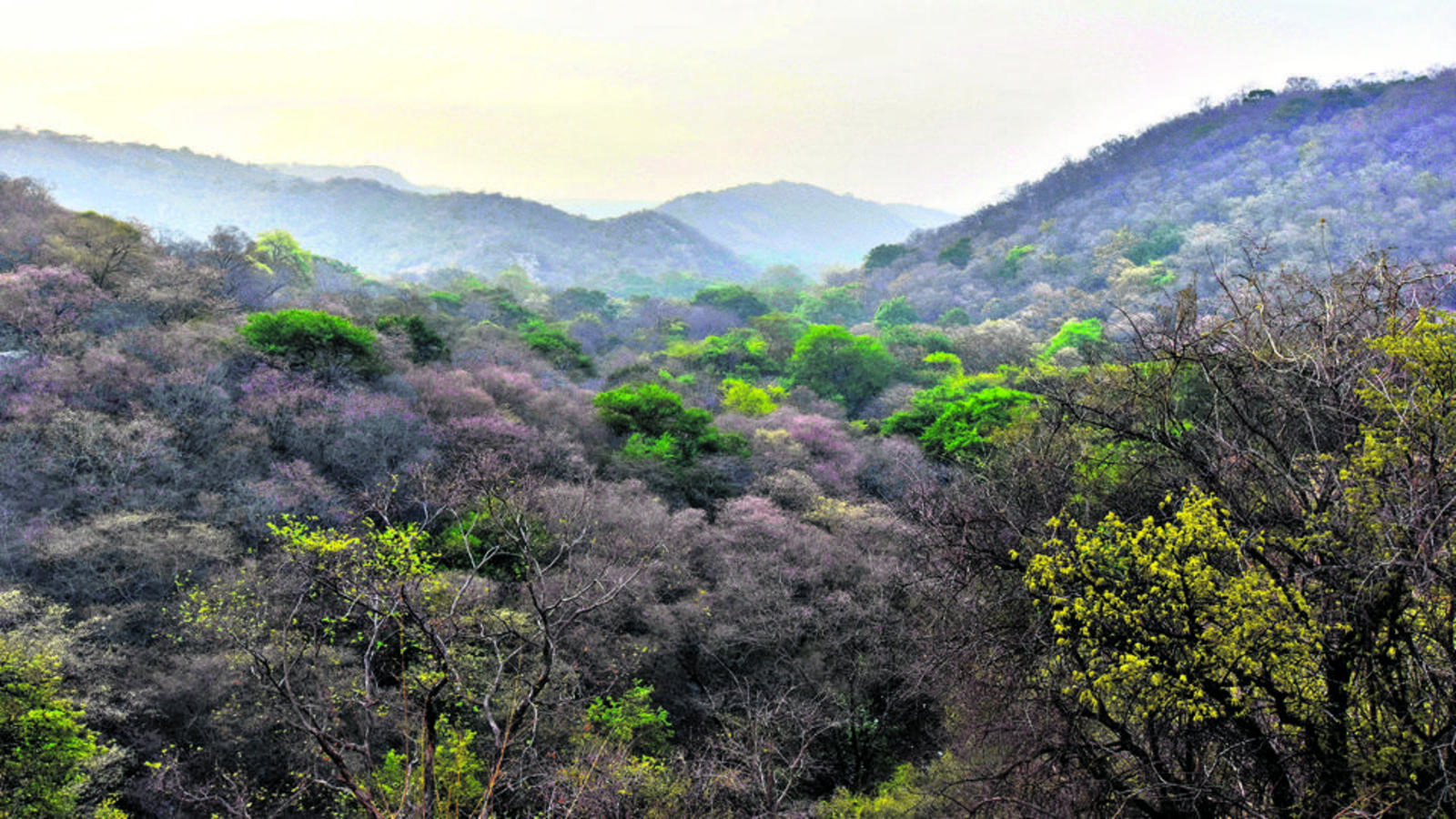 Central act amendment to benefit firms owning deemed forest land in Aravallis - Vimarsana News