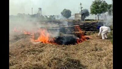 41 farmers challaned for stubble burning in Kurukshetra (ANI)