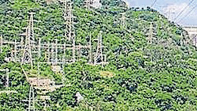A 35-year-old Bengaluru-based trekker, Rahul Ramesh, has been missing for the last three days in the dense forests near Manali. Rahul embarked on his trekking expedition on the evening of September 28 and as of now the authorities have been unable to locate him. (HT File Photo/ Representational image)