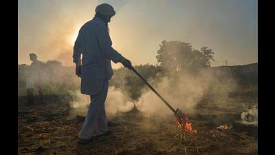Despite claims of the Punjab government to curb stubble burning, farm fires from September 15 to October 2 have increased by 66% compared to the same period last year, data from the Punjab Remote Sensing Centre (PRSC) shows. Despite claims of the Punjab government to curb stubble burning, farm fires from September 15 to October 2 have increased by 66% compared to the same period last year, data from the Punjab Remote Sensing Centre (PRSC) shows.