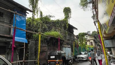 Greens that have taken roots into the cracks and gaps of dilapidated wadas and around them have left PMC to seek permission of authorities before razing these archaic structures. (KALPESH NUKTE/HT) Greens that have taken roots into the cracks and gaps of dilapidated wadas and around them have left PMC to seek permission of authorities before razing these archaic structures. (KALPESH NUKTE/HT)