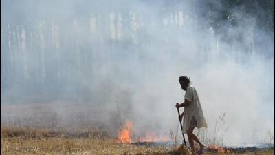 Till October 2 (Monday), Punjab recorded 456 incidents of field fires since September 15, according to Punjab Remote Sensing Centre (PRSC) data. (HT Photo) Till October 2 (Monday), Punjab recorded 456 incidents of field fires since September 15, according to Punjab Remote Sensing Centre (PRSC) data. (HT Photo)