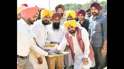 Chief minister Bhagwant Mann on Tuesday said the state government has decided to ban sowing of water-guzzling PUSA-44 variety of paddy crop from the next Kharif season. Chief minister Bhagwant Mann on Tuesday said the state government has decided to ban sowing of water-guzzling PUSA-44 variety of paddy crop from the next Kharif season.