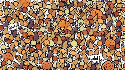 Brain Teaser: How quickly can you find three birds hidden among these fruits? (Facebook/@thedudolf) Brain Teaser: How quickly can you find three birds hidden among these fruits? (Facebook/@thedudolf)