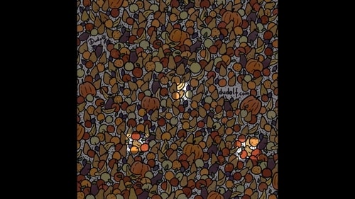 Brain Teaser: Three birds are highlighted in this picture. (Dudolf) Brain Teaser: Three birds are highlighted in this picture. (Dudolf)