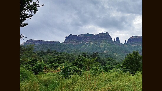 In several documents, four forts are mentioned, namely Mahuli, Palasgad, Bhandardurg and Pratapgad. (HT PHOTO)