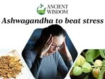 Ashwagandha or Withania somnifera is considered a wonder herb for mental health by Ayurveda from many centuries.