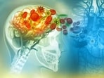 World Meningitis Day 2023: Date, history, significance