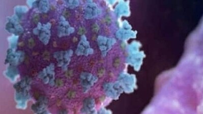 Biochemical scientists Katalin Kariko and Drew Weissman were announced as the winners of the Nobel Medicine Prize, (REUTERS) Biochemical scientists Katalin Kariko and Drew Weissman were announced as the winners of the Nobel Medicine Prize, (REUTERS)