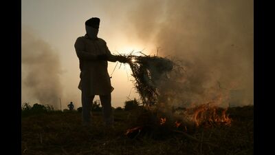 A farmer burns straw stubble in a paddy field on the outskirts of Amritsar. (AFP File)