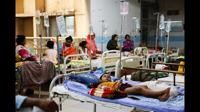 As per the data provided by the Pune Municipal Corporation (PMC) Health Department, in September, Pune reported 683 suspected and 70 confirmed dengue cases; the highest caseload reported this year. (REPRESENTATIVE PIC) As per the data provided by the Pune Municipal Corporation (PMC) Health Department, in September, Pune reported 683 suspected and 70 confirmed dengue cases; the highest caseload reported this year. (REPRESENTATIVE PIC)
