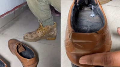 Snapshot of the snake hiding inside a shoe. Snapshot of the snake hiding inside a shoe.