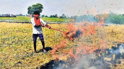 The Centre will work on achieving zero burning and will focus on the supply side of stubble for productive use. (Sameer Sehgal/ HT Photo) The Centre will work on achieving zero burning and will focus on the supply side of stubble for productive use. (Sameer Sehgal/ HT Photo)
