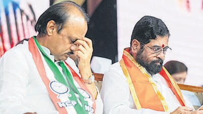 The relationship between chief minister Eknath Shinde and deputy CM Ajit Pawar has been strained in recent times. (PTI)