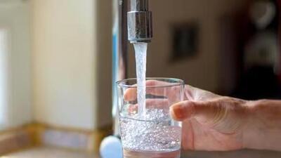 The water samples from 44 localities showed presence of Coliform and E. coli organisms with low pH value. (Representative Image) The water samples from 44 localities showed presence of Coliform and E. coli organisms with low pH value. (Representative Image)