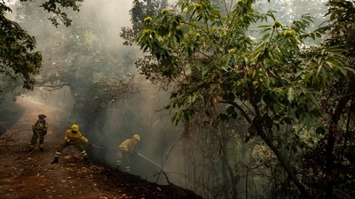 Emergency crews and firefighters are working to extinguish the fire advancing through the forest in La Orotava in Tenerife, Canary Islands, (AP) Emergency crews and firefighters are working to extinguish the fire advancing through the forest in La Orotava in Tenerife, Canary Islands, (AP)