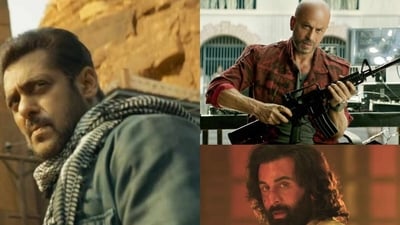 Stills from Tiger 3, Jawan and Animal.