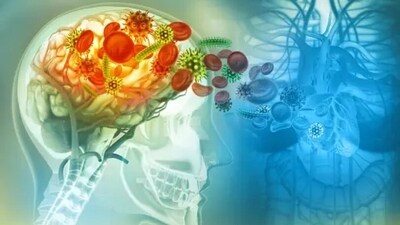 World Meningitis Day 2023: Date, history, significance (Unsplash) World Meningitis Day 2023: Date, history, significance (Unsplash)