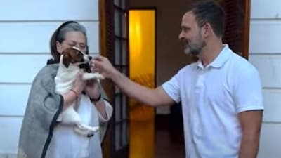 Rahul Gandhi now has a new dog, Noorie, whom he adopted for his mother Sonia Gandhi from a family in Goa.