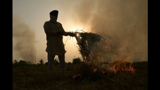 A farmer burns straw stubble in a paddy field on the outskirts of Amritsar. (AFP File)