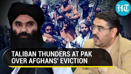 'Tolerate Them Or...': Taliban Warns Pakistan After Afghans Asked To leave Over Terror Links | Watch