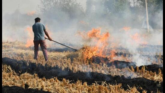 In the first case in the state, the police on Wednesday booked a farmer of Rana village in Fazilka district for burning paddy stubble and violating the orders of the district administration.
