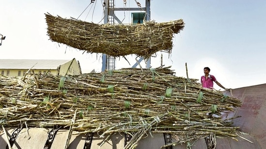 Domestic sugar prices have risen by about 3% over the past month, according to official figures, although they are nearly 40% lower than global prices currently. (HT/ PHOTO)
