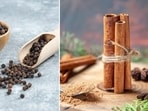 Metabolism can be increased by making certain dietary changes.Dietitian Manpreet Kalra shares top foods that can help boost metabolism. Metabolism can be increased by making certain dietary changes.Dietitian Manpreet Kalra shares top foods that can help boost metabolism.