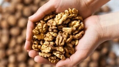 Essential fatty acids found in walnuts, mustard seeds and soyabeans are extremely healthy for hair growth and hair health.&nbsp; (Unsplash)