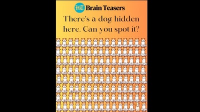 Will you be able to solve this brain teaser? (Hindustan Times) Will you be able to solve this brain teaser? (Hindustan Times)