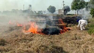 By November, fire incidents increase to nearly 60,000, according to data from past years. (ANI) By November, fire incidents increase to nearly 60,000, according to data from past years. (ANI)