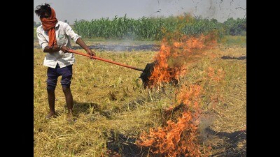 Farmers burning stubble after paddy harvest in field in Amritsar. (HT File) Farmers burning stubble after paddy harvest in field in Amritsar. (HT File)